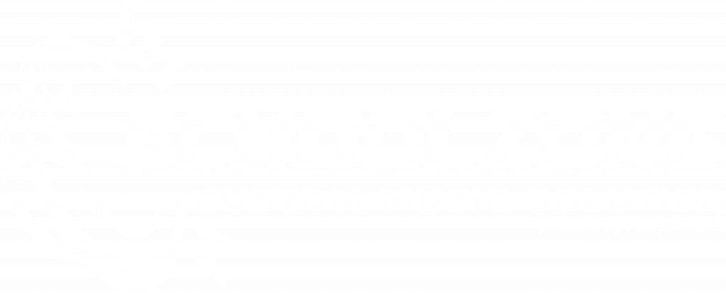schoolzone logo white